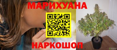 крисы Краснознаменск