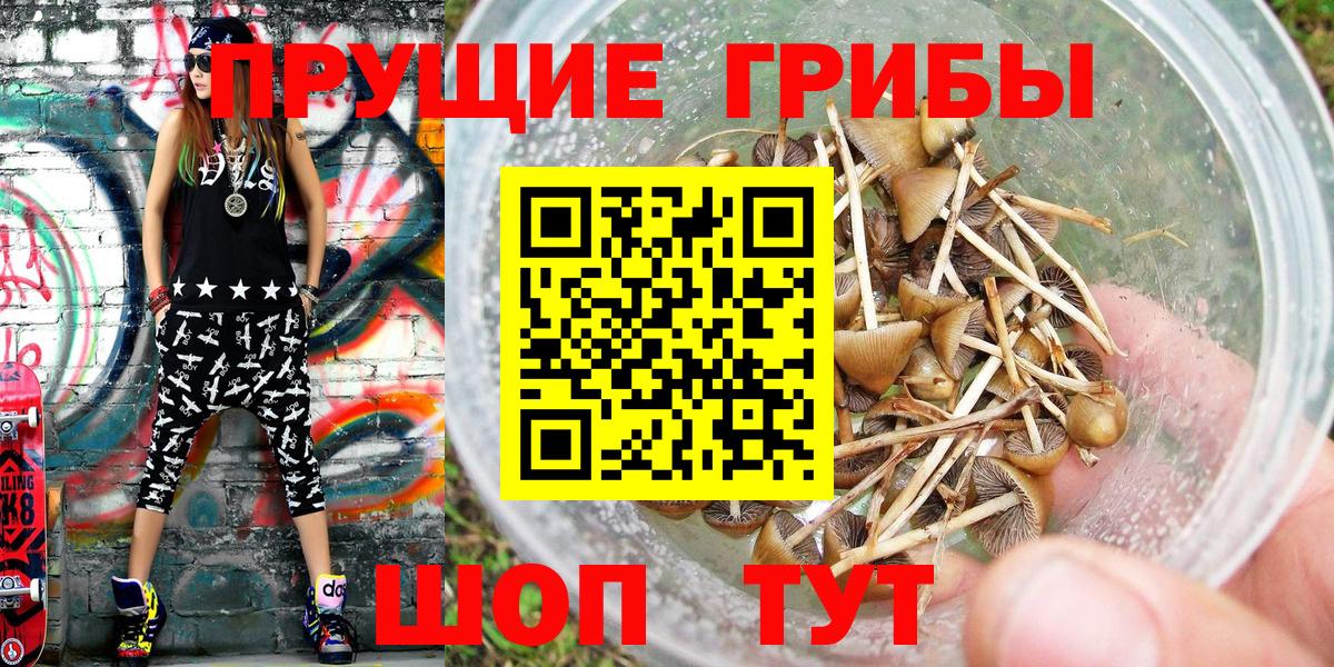 Псилоцибиновые грибы Magic Shrooms Зима