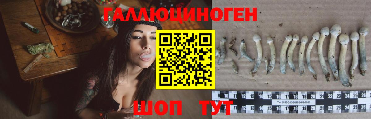 Зима  Псилоцибиновые грибы Cubensis  дарнет шоп  Вход с VPN 